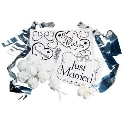 Wilton - Car Decorating Kit